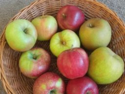 b_1024_768_0_00_images_2023_2024_Swietlica_jablko_385435335_780740520520565_5625345452025044761_n